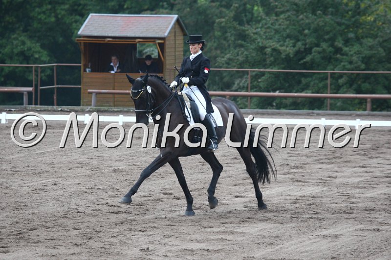 009M9236_Rubin_Dressur S_St. Georg.JPG